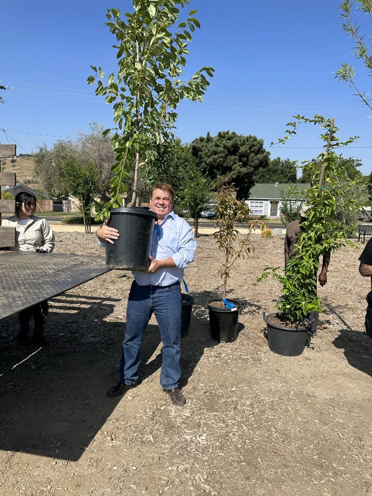 A volunteer smiling and lifting a potted young tree ready for planting