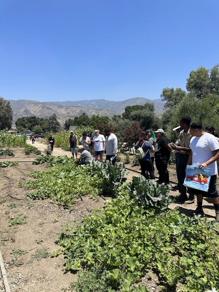 Visitors gathered around squash and cabbage rows during a garden tour, with mountains behind